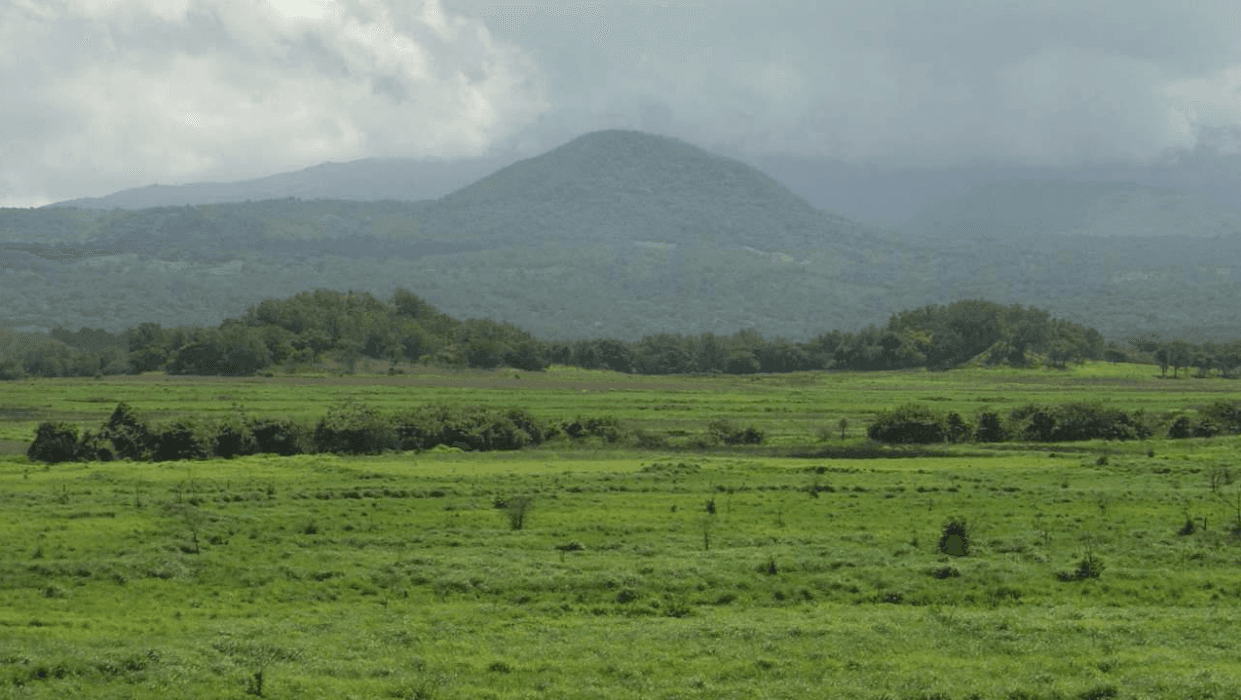 Finca María